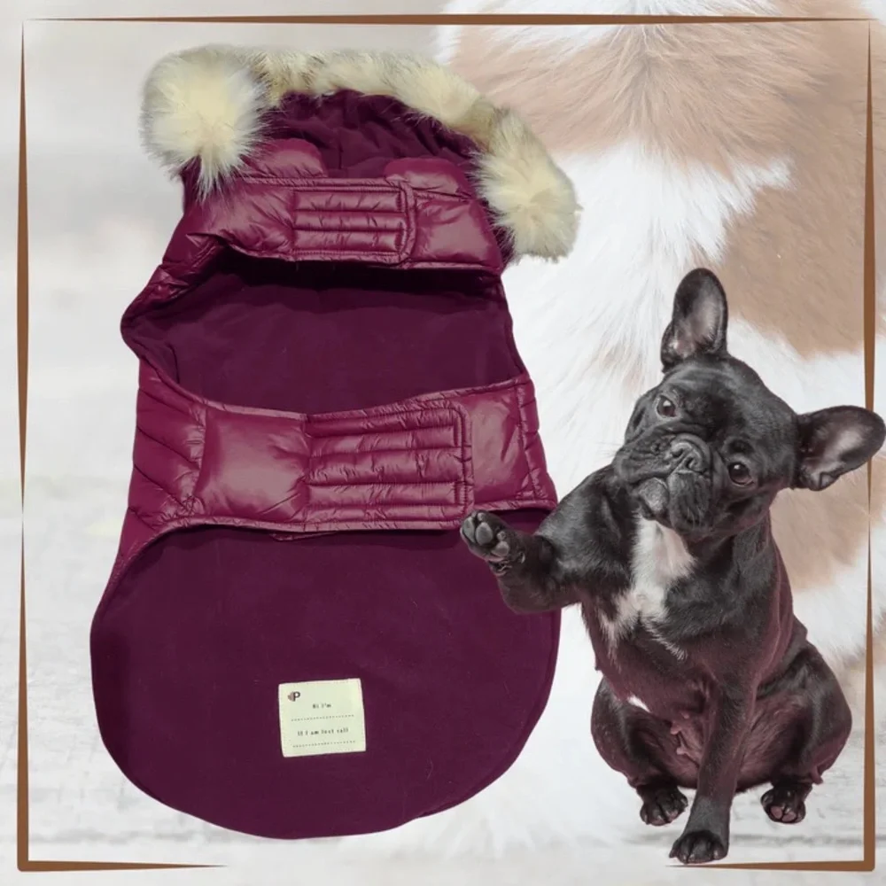 Pajar Dog Jacket - Picture 7 of 14